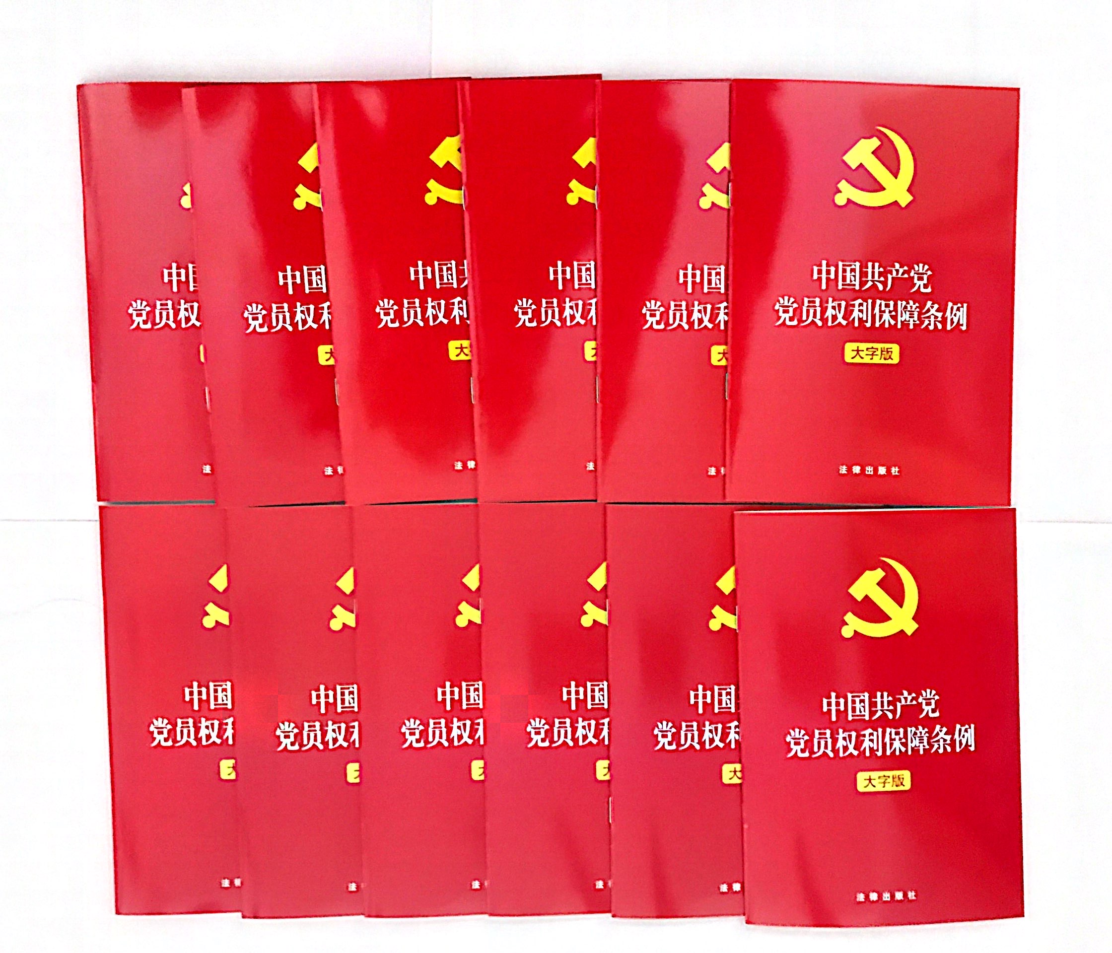 人民大廈黨委配發《中國共產黨黨員權利保障條例》
