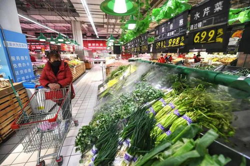 苗木價格迎來下行拐點，市場機遇與挑戰(zhàn)并存