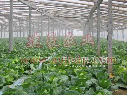 復合材料蔬菜大棚骨架 引領現代農業設施升級